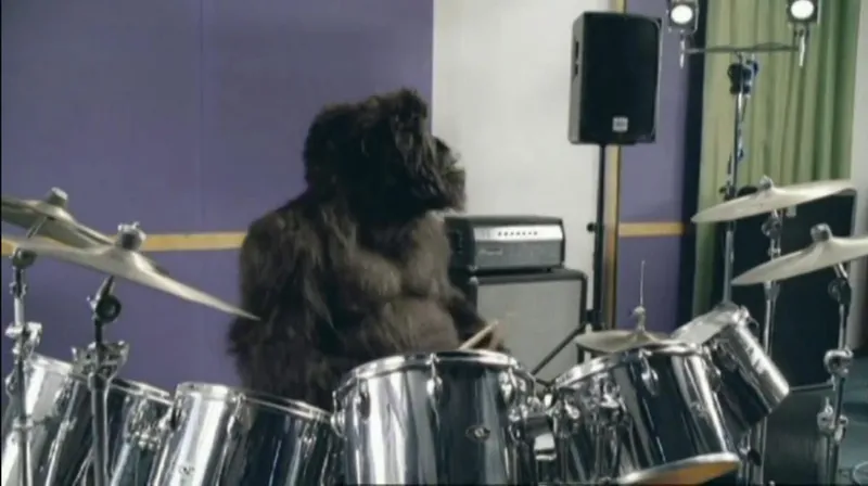 Gorilla
