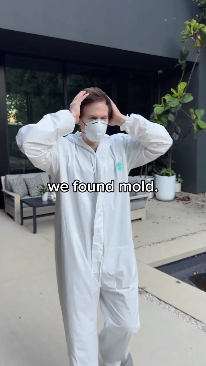 we found mold in my gym